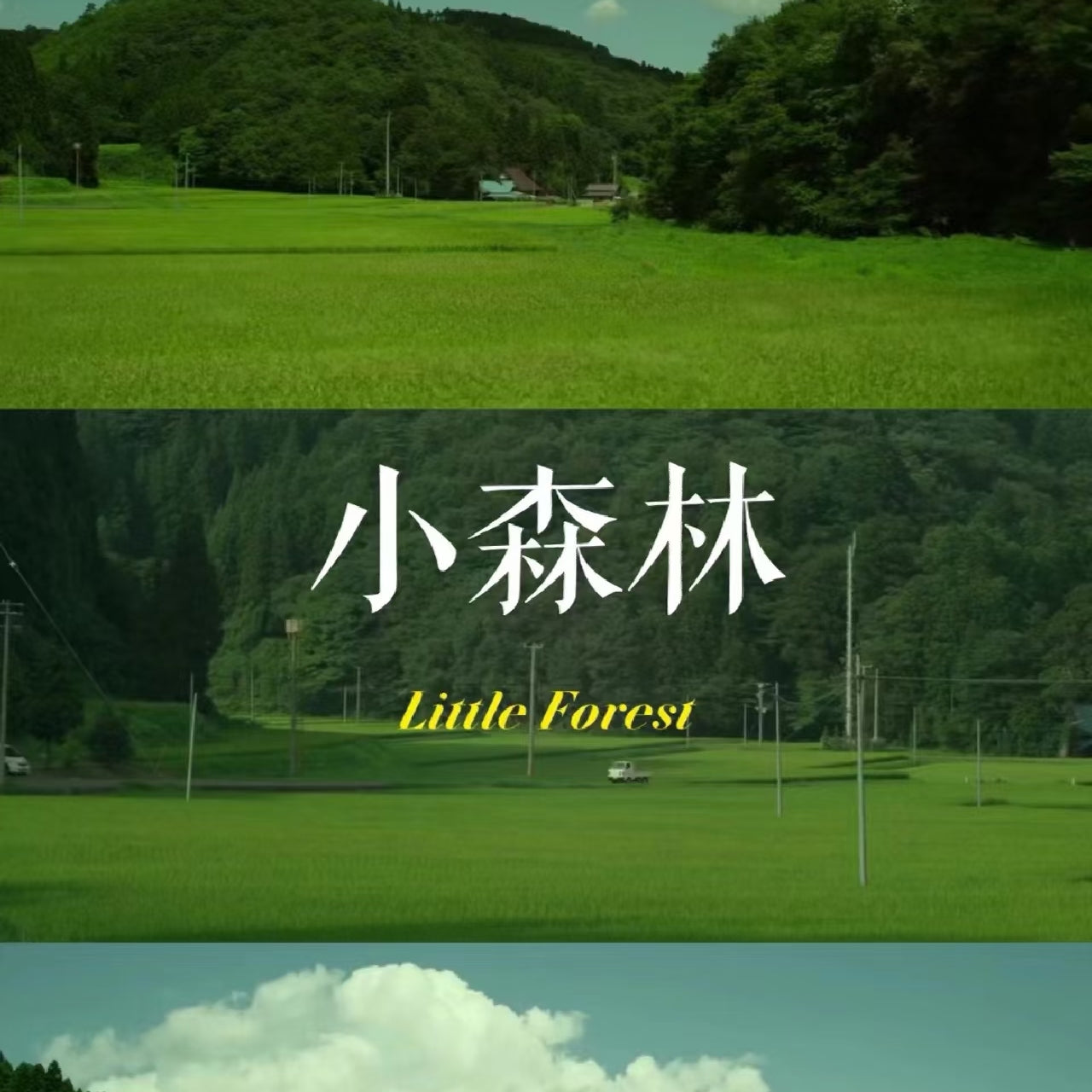 【小森林の天然石】日本のお客様向けのリンク